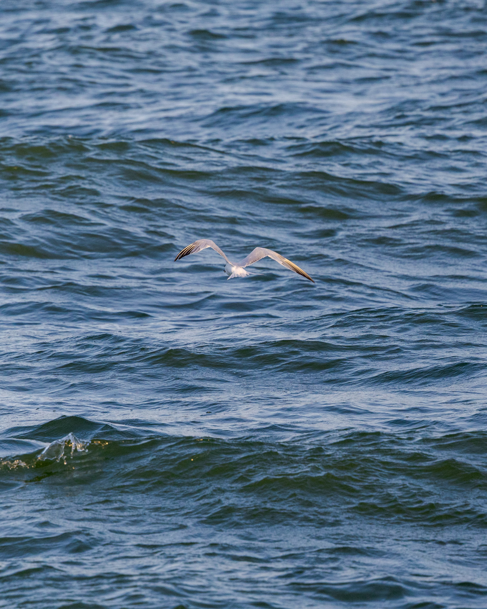 Monitoring team at work